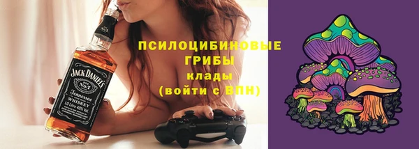 сатива Вязьма