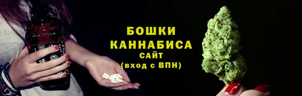 сатива Вязьма