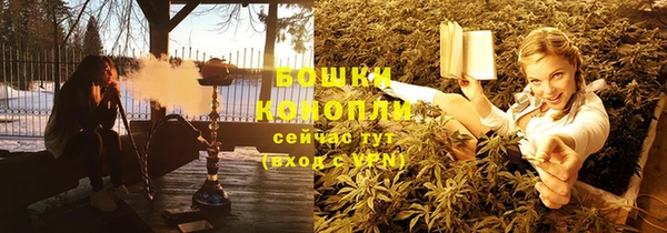 сатива Вязьма