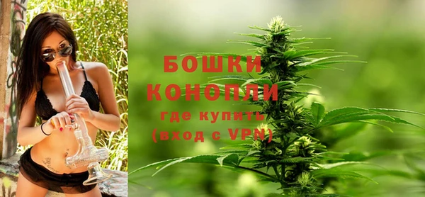 ГАЛЛЮЦИНОГЕННЫЕ ГРИБЫ Горняк