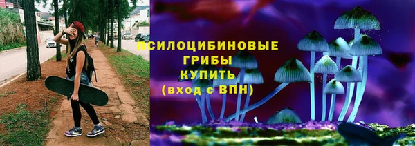 сатива Вязьма