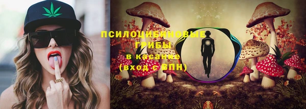 ГАЛЛЮЦИНОГЕННЫЕ ГРИБЫ Горняк