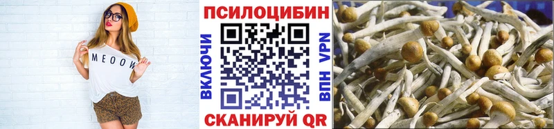 Галлюциногенные грибы GOLDEN TEACHER  Купить где  Цивильск 